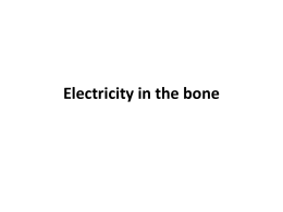 Bone electricity - C