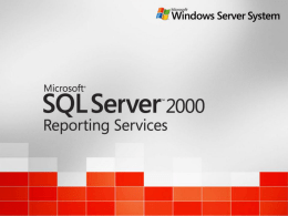 동아제약 영업관련 요약정보의 SQL Server Reporting
