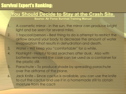 You Should Decide to Stay at the Crash Site.