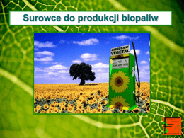 05_Biopaliwa