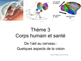 Thème 3 Corps humain et santé - SVT