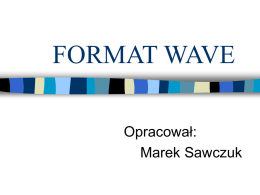 FORMAT WAVE