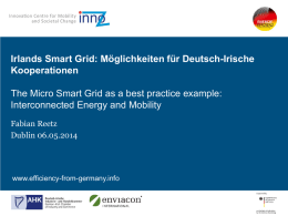 The Micro Smart Grid as a best practice example - Deutsch