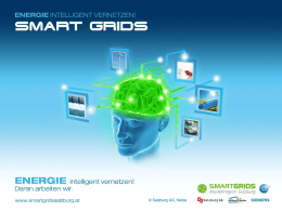 Präsentation Smart Grid Event 2012 Michael Strebl - E