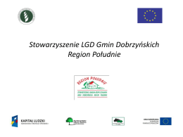 Stowarzyszenie LGD Gmin Dobrzyńskich Region Południe