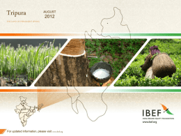 PowerPoint Presentation - India Brand Equity Foundation