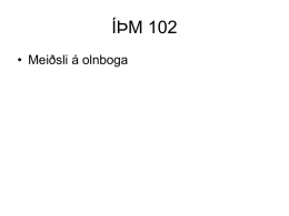 ÍÞM 102