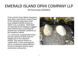EMERALD ISLAND OPIHI COMPANY LLP UK