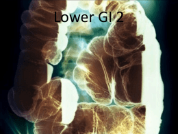 Lower GI 2