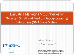 Evaluating Marketing Mix Strategies for Selected Small and Medium