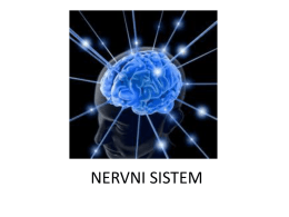 нервни систем