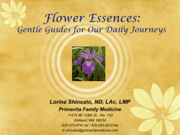 Flower Essences - Primavita Family Medicine