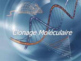 Clonage Moléculaire