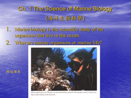 海洋生物簡介 - 國立台灣大學漁業科學研究所