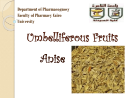 Umbelliferous Fruits - Faculty of Pharmacy
