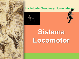 SISTEMA_LOCOMOTOR