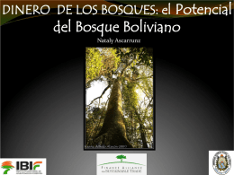 El potencial del bosque boliviano