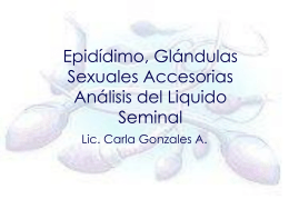 Epidídimo, Glándulas Sexuales Accesorias Análisis del