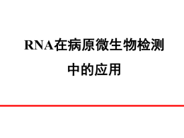 RNA在病原微生物检测中的应用