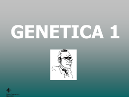 08 Genetica - Don Bosco Hechtel