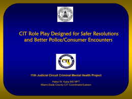 cit role play designed for safer resolutions and better police