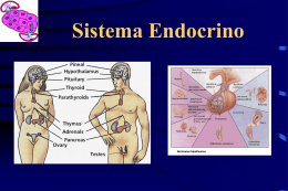 sistema endocrino hormonas