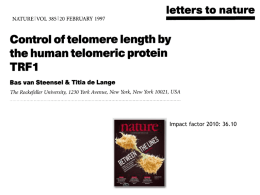 Papers telomerasa