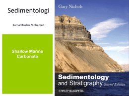 shallow marine carbonate environments