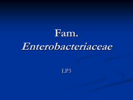 LP 3 – microbi – Enterobacteriaceae