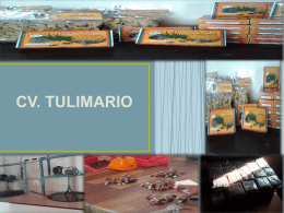 CV. TULIMARIO - Parama Karya Awards