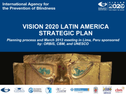 VISION 2020 Latin American Strategic Plan for 2013-2016