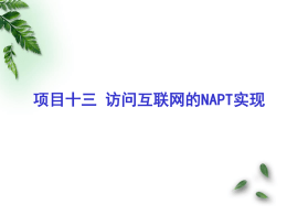 项目十三访问互联网的NAPT实现