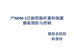产NDM-1泛耐药肠杆菌科