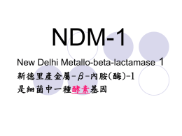 有關『NDM-1』您一定要知！(ppt檔)