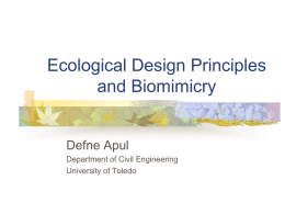 Ecological Design Principles and Biomimicry