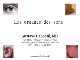nez et langue - Gustave DABRESIL