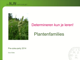 Plantenfamilies - SJOC