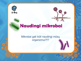 Naudingi mikrobai - e-Bug