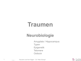Neurobiologie von Traumen - Confido