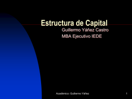 Estructura de Capital