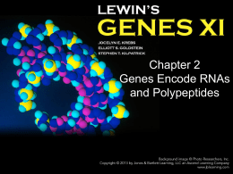 Chapter 2 Genes Encode RNAs and Polypeptides