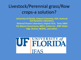 Livestock/Perennial grass/Row crops