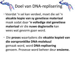 DNA Replisering - Life Sciences 4 All
