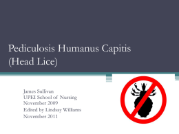 Head Lice Power Point Presentation