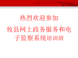 湖南省网上政务服务和电子监察系统概述