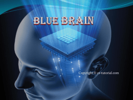 Blue brain - CS