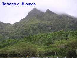Terrestrial Biomes Weather