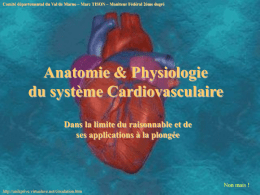 Anatomie & Physiologie du système Cardiovasculaire