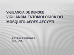 Aedes aegypti - Gobierno de la Provincia de Neuquén