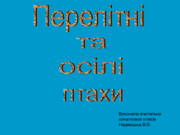 Перелітні та осілі птахи